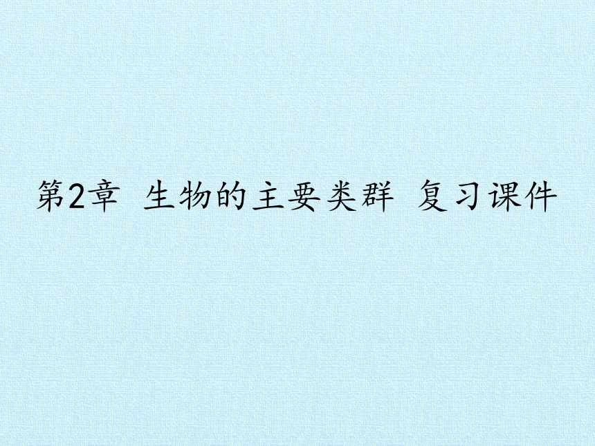 华师大版七年级科学上册 第2章 生物的主要类群 复习课件(共25张PPT)