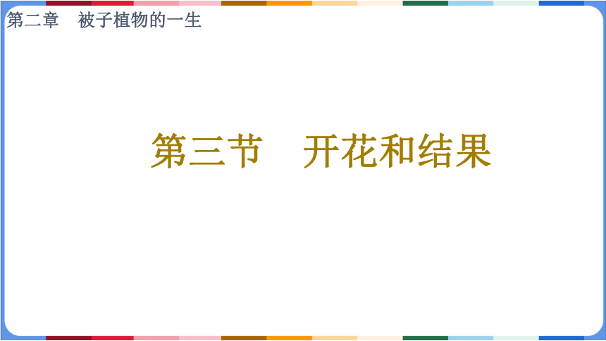 3.2.3开花和结果课件(共39张PPT+内嵌视频3个)人教版初中生物七年级上册