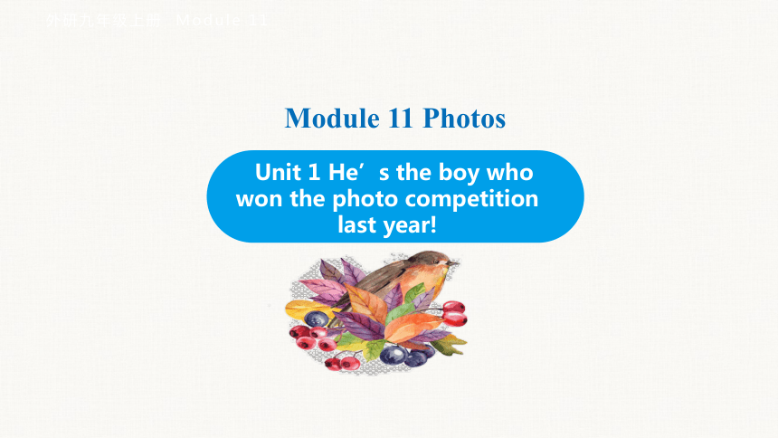 Module 11 Unit 1 He’s the boy who won the photo competition last year！课件(共37张PPT) 外研（新标准）版九年级上册