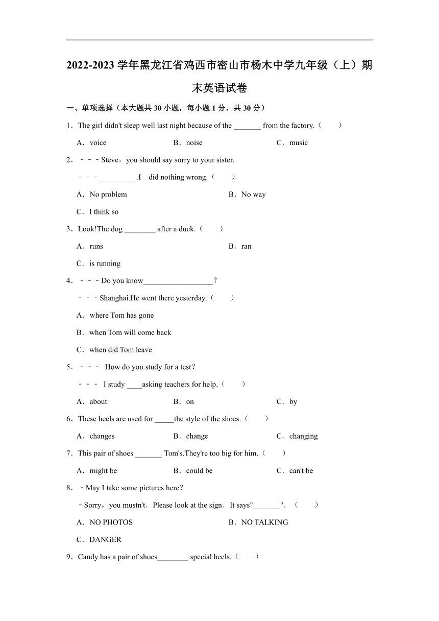 2022-2023学年黑龙江省鸡西市密山市杨木中学九年级（上）期末英语试卷（含答案）