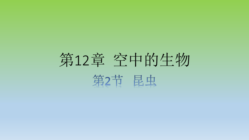 苏科版七年级下册生物 4．12．2 昆虫课件 （共18张PPT）