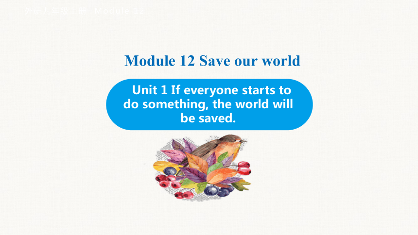 Module 12 Unit 1 If everyone starts to do something, the world will be saved.课件(共31张PPT) 外研（新标准）版九年级