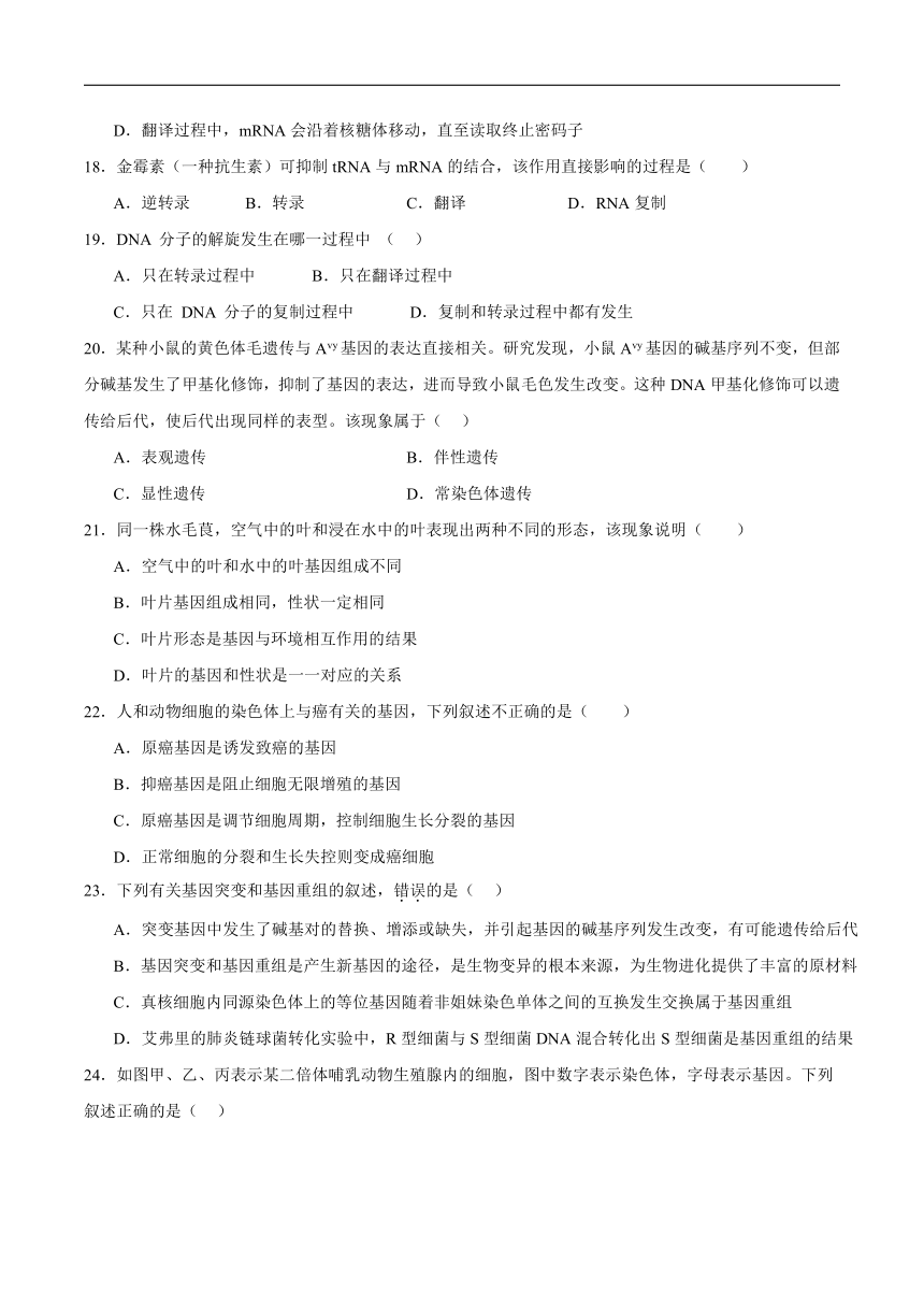 宁夏石嘴山市第一中学2023-2024学年高一下学期5月期中考试生物试卷（含答案）