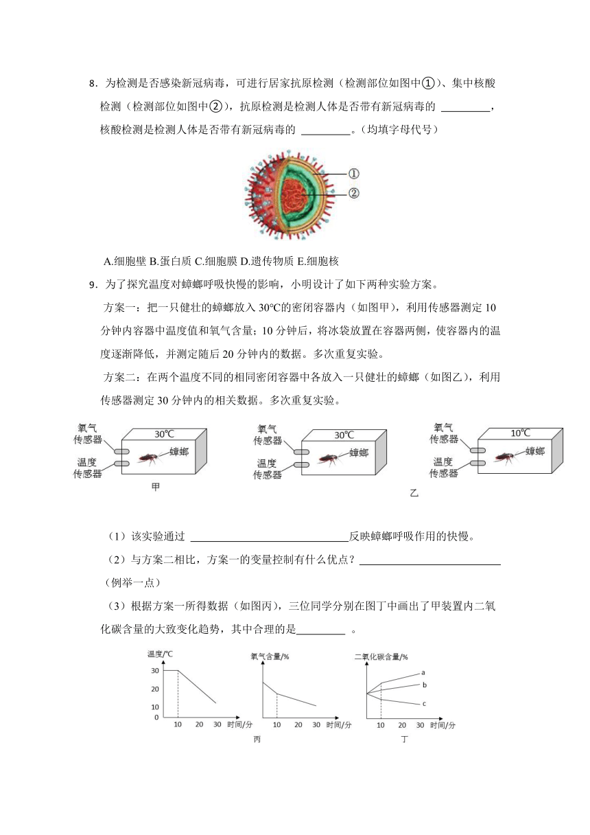 2024年浙江省科学中考考前每日一练 第20卷（含解析）