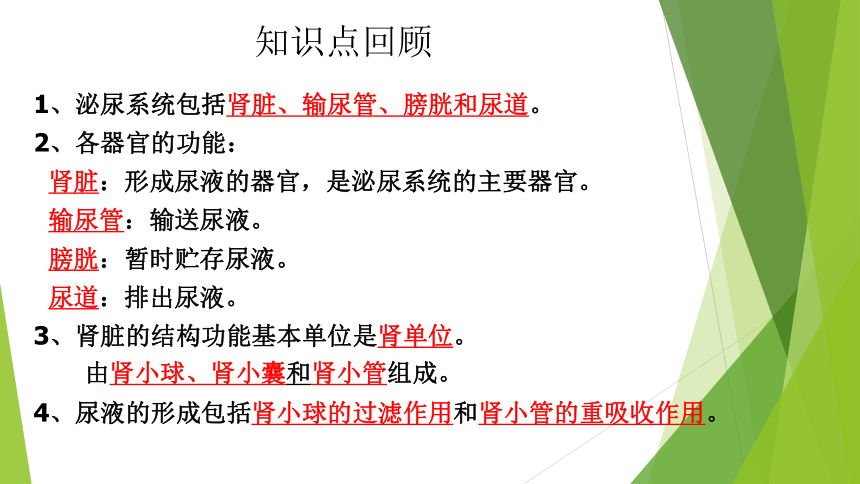 人教版七年级生物下册 第四单元第六章第一节 人体对外界环境的感知——视觉课件（16张PPT ）（用WPS打开）