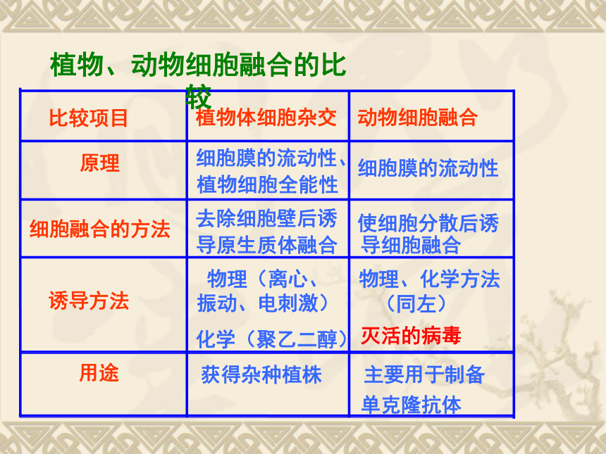 2．2．2动物细胞融合和单克隆抗体的制备（共32张PPT）