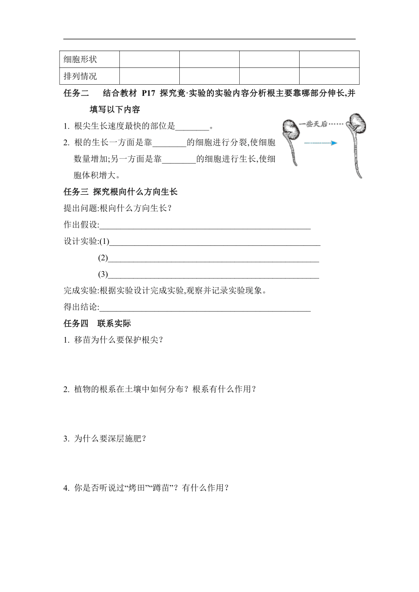 第三单元 第二章 根的吸收作用 任务驱动式预学检验+课堂导学（含答案） 冀少版生物八年级上册