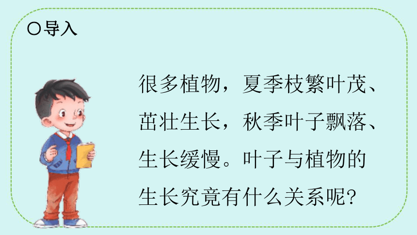 青岛版（六三制2017秋）五年级科学下册5.18 光合作用 课件（24张PPT）