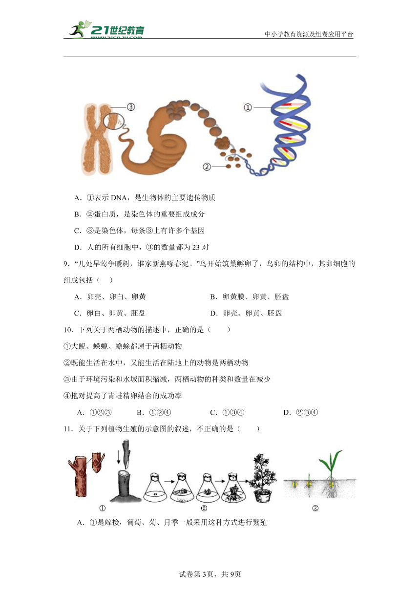 人教版中考一轮复习--八下（一）（含解析）