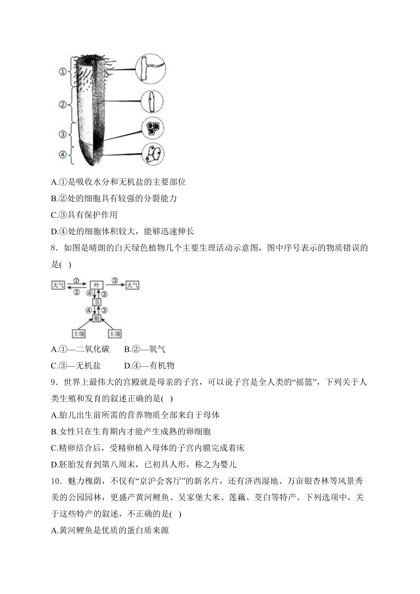 2024届湖南省中考生物模拟五月冲刺卷 (含解析)【湖南专用】