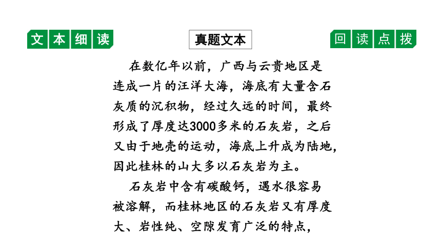 2024年广西中考语文二轮复习 非连续性文本阅读方法指导 课件(共25张PPT)