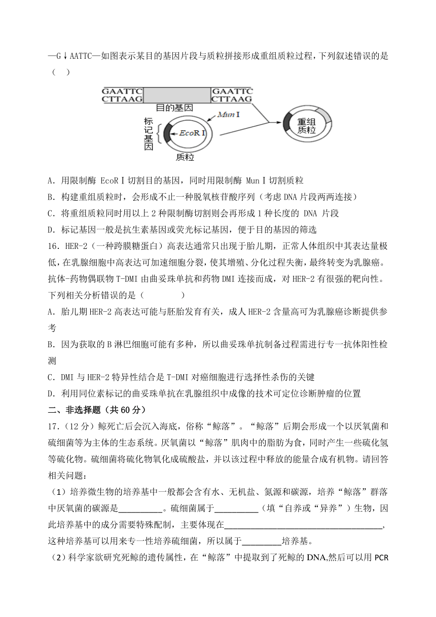 广东省肇庆市第一中学2023-2024学年高二下学期期中考试生物学试题（含答案）