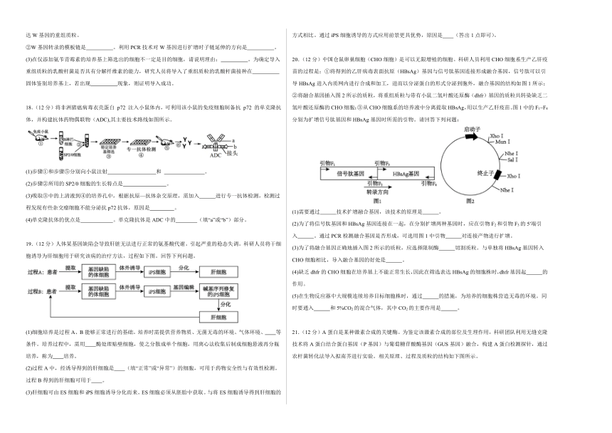 江西省上饶艺术学校2023-2024学年高二下学期生物5月测试卷（含解析）