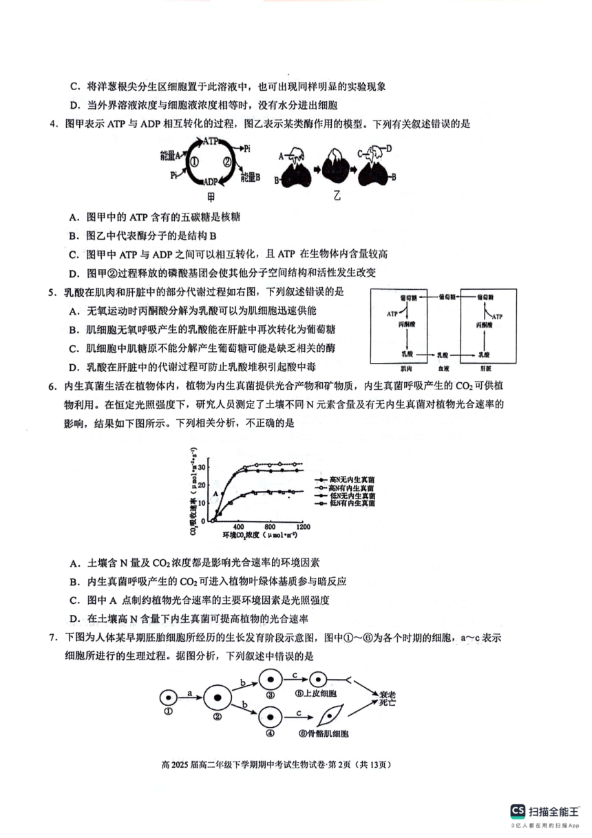 云南省昆明市呈贡区昆明市第三中学2023-2024学年高二下学期5月期中考试生物试题（pdf版无答案）