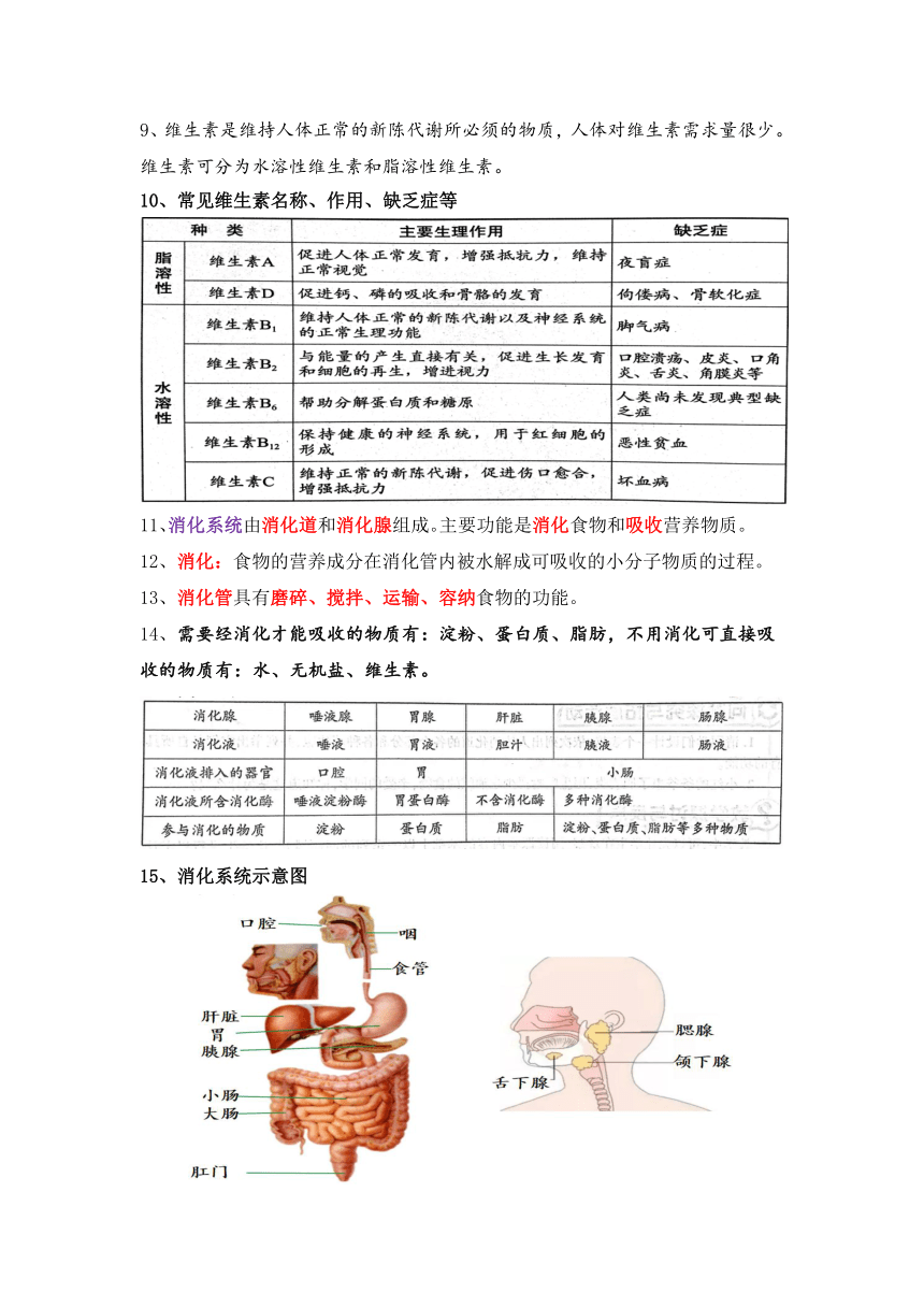 2023-2024学年北师大版生物七年级下册知识点总结（文字素材）