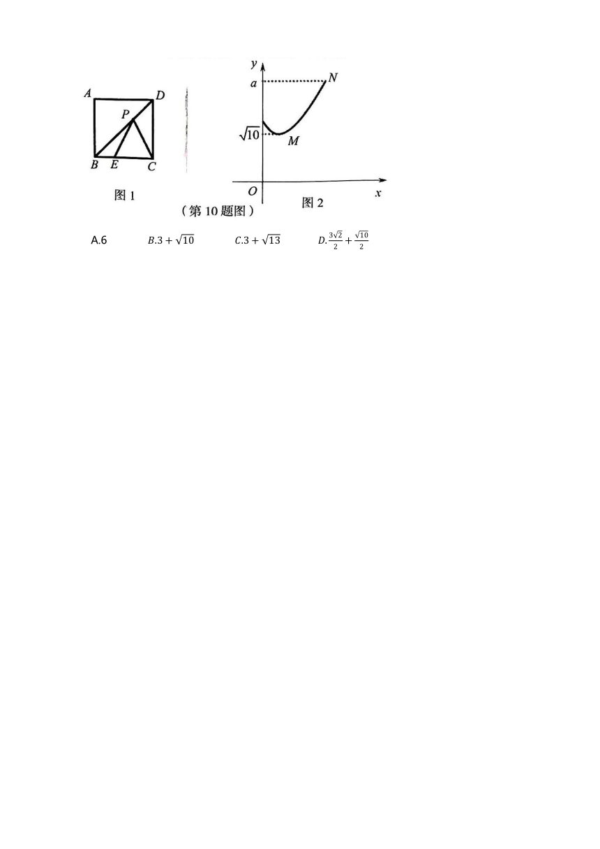 2024年河南省洛阳市中考一模数学试题（无答案）