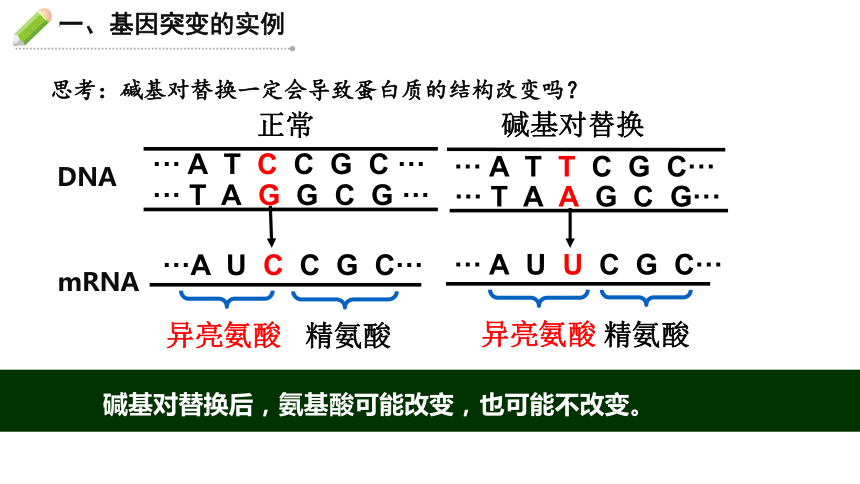 5.1基因突变和基因重组（第1课时）课件(共22张PPT)-2023-2024学年高一下学期生物人教版（2019）必修2