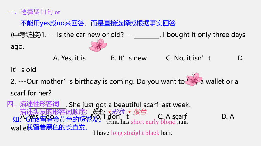 Unit 9 What does he look like? Section A Grammar focus 3a—3d课件(共23张PPT) 2023-2024学年人教版英语七年级下册