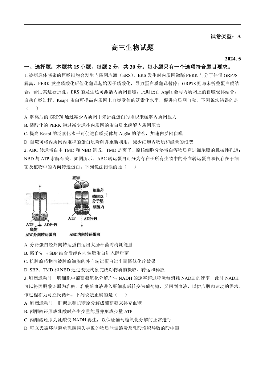 山东省滨州市2024届高三下学期二模考试生物试卷（含答案）