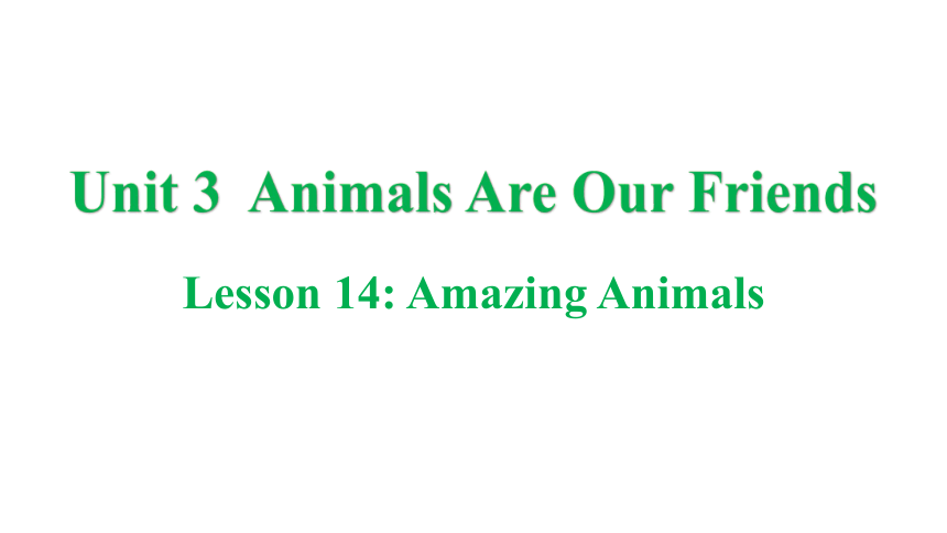 冀教版八年级下册Unit 3 Animals Are Our Friends Lesson 14 Amazing Animals课件(共32张PPT)