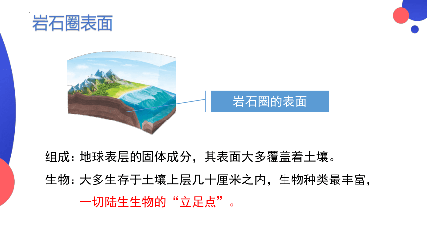 1.2.3 生物圈是最大的生态系统 课件(共24张PPT) 人教版生物七年级上册