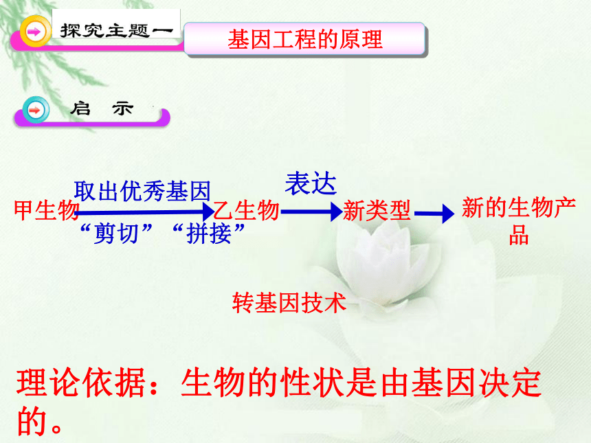 7.2.1.基因工程（课件+素材）（打包2份）