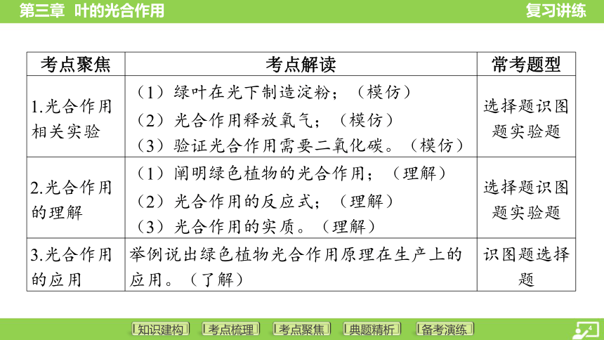 第一篇 第三单元 第三章 叶的光合作用  课件(共38张PPT) 2024中考生物总复习专题突破(冀少版)