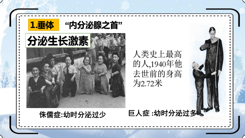 4.12.1激素调节课件(共30张PPT)2023--2024学年苏教版生物七年级下册