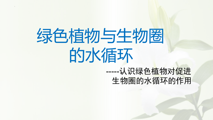 3.3 绿色植物与生物圈的水循环 课件(共18张PPT) 人教版生物七年级上册