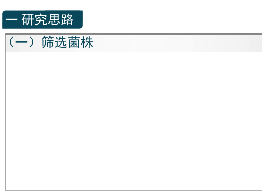 人教版选修1高三生物《专题2课题2土壤中分解尿素的细菌的分离与计数》（共79张PPT）