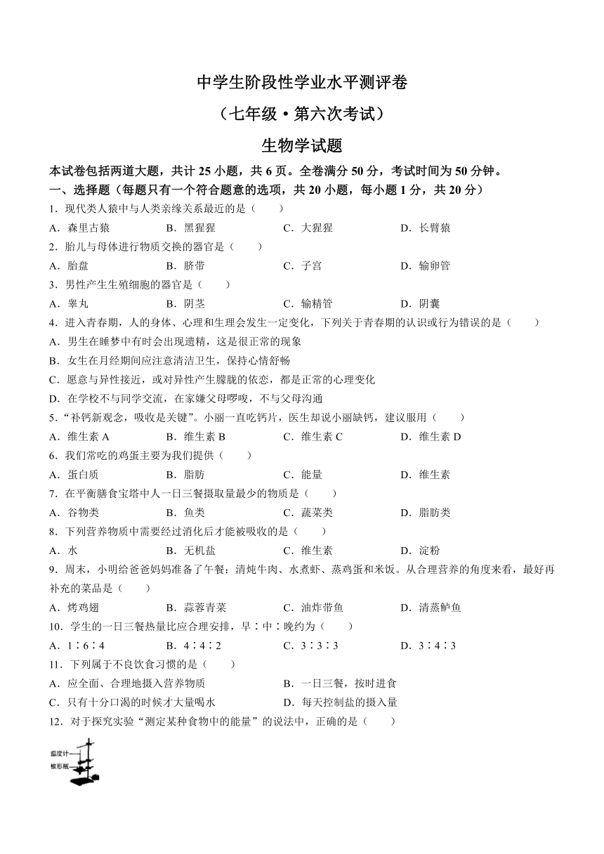 吉林省白城市通榆县部分学校2023-2024学年七年级下学期生物期中考试试卷（含答案）