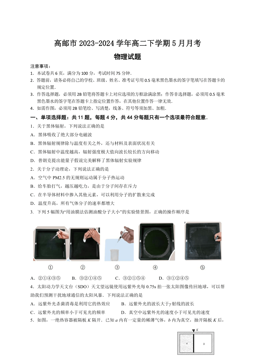 江苏省扬州市高邮市2023-2024学年高二下学期5月月考物理试题（含答案）