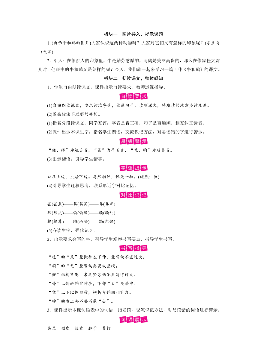 统编版四年级上册语文教案-第6单元 第18课牛和鹅 （2课时含反思）