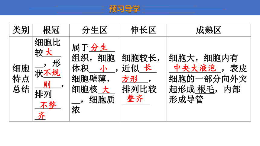 3.2.1 根的生长任务驱动式课件(共14张PPT)冀少版 八年级上册