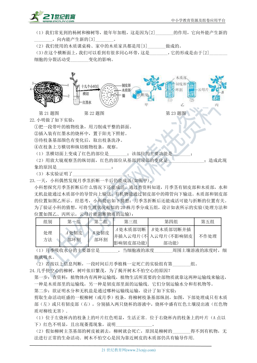 4.4 植物的茎与物质运输 同步练习（含解析）