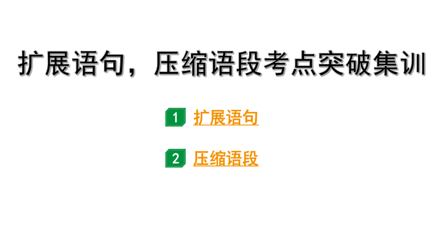 2024年四川中考语文二轮复习 扩展语句，压缩语段考点突破集训 课件(共29张PPT)