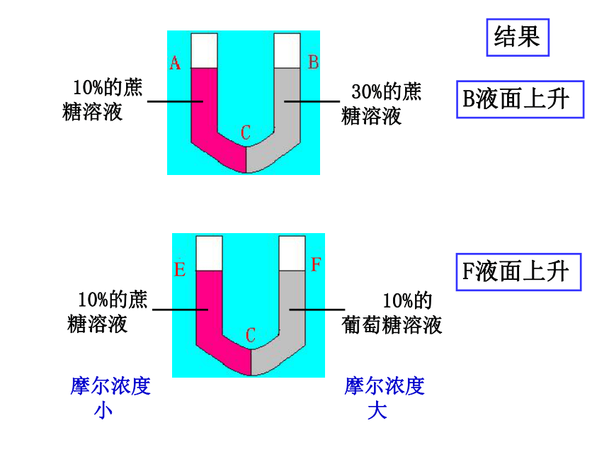 人教版生物必修一4．1物质跨膜运输的实例（共57张ppt）