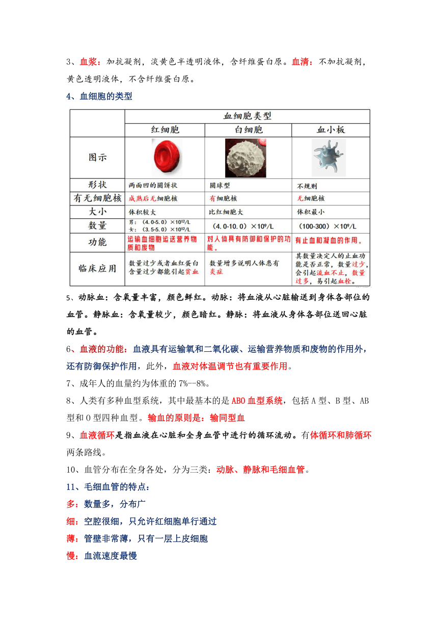 2023-2024学年北师大版生物七年级下册知识点总结（文字素材）