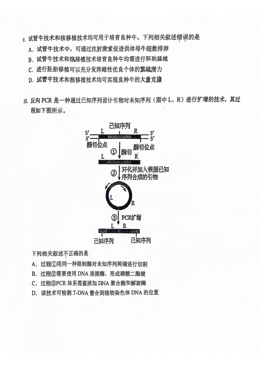 2024年北京市中国人民大学附属中学高二下学期期中生物试题（pdf版无答案）