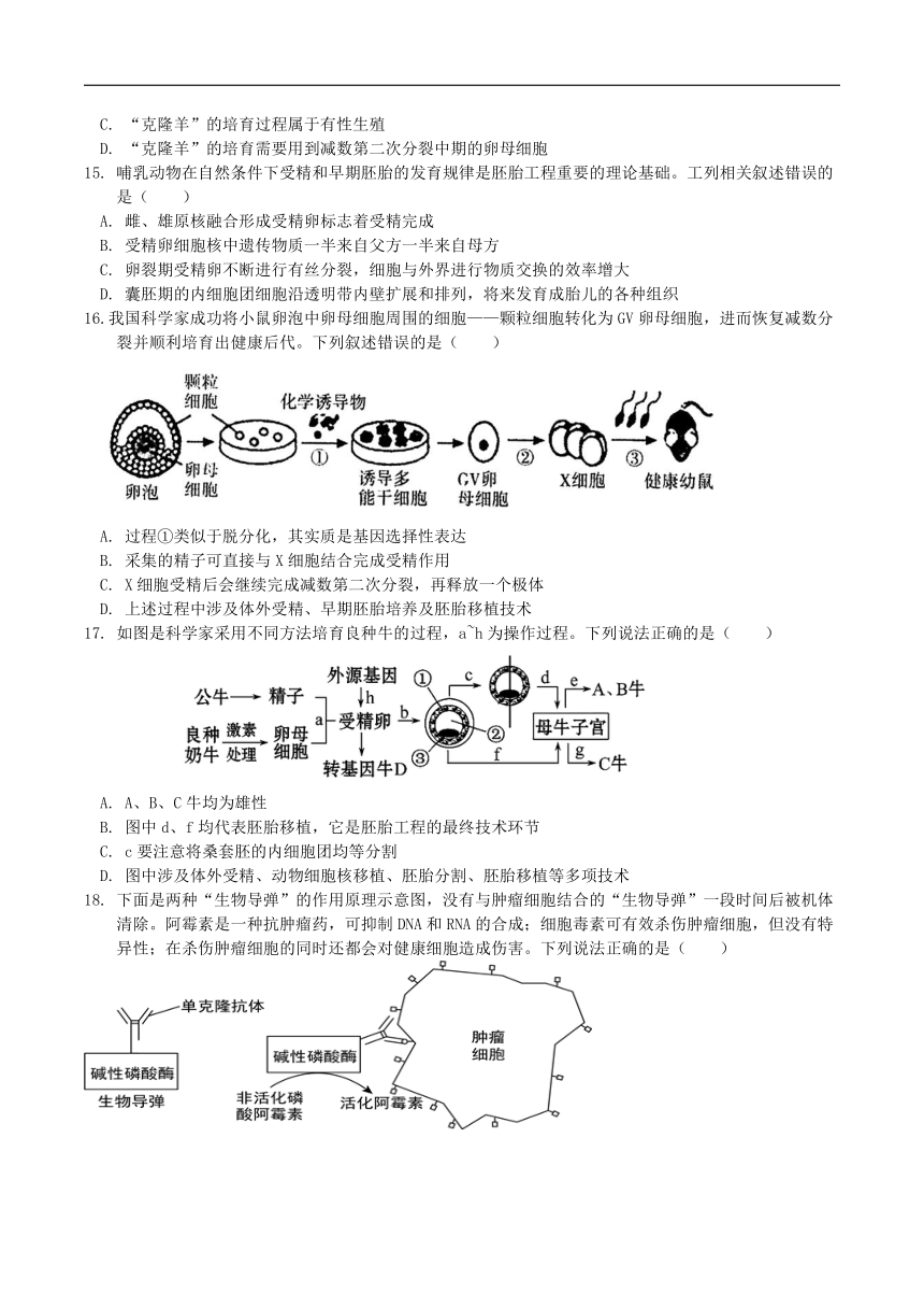 四川省眉山市东坡区2023-2024学年高二下学期期中考试生物试卷（含答案）