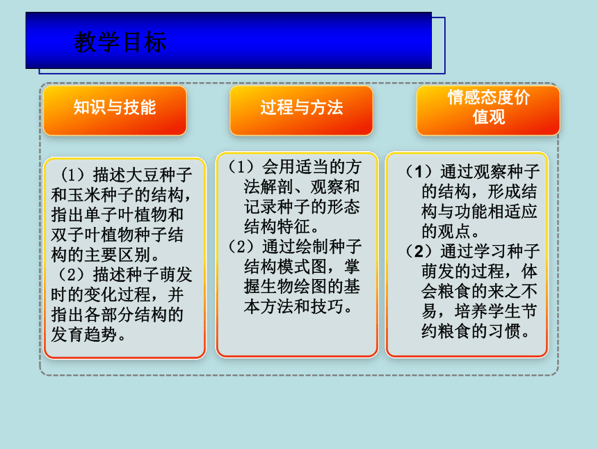 北师大版七年级上册生物课件 6.1 种子萌发形成幼苗  课件 （共21张PPT）