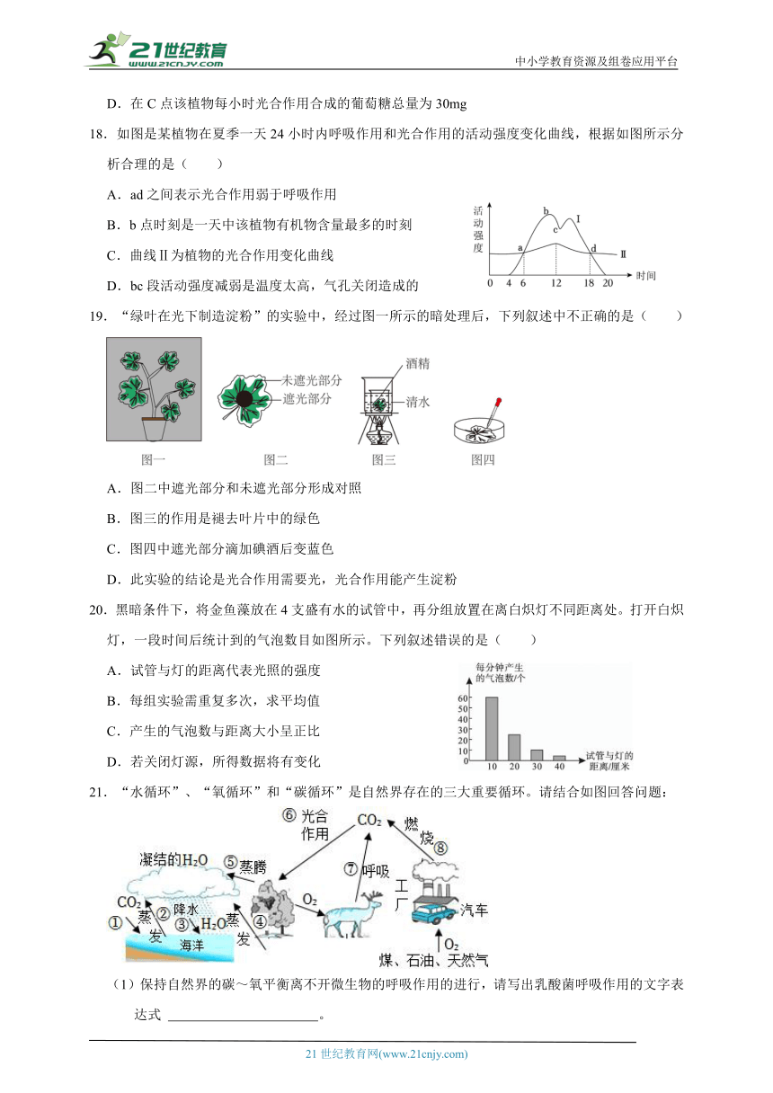 浙教版八下科学期中专题12 光合作用与碳氧循环（含答案）