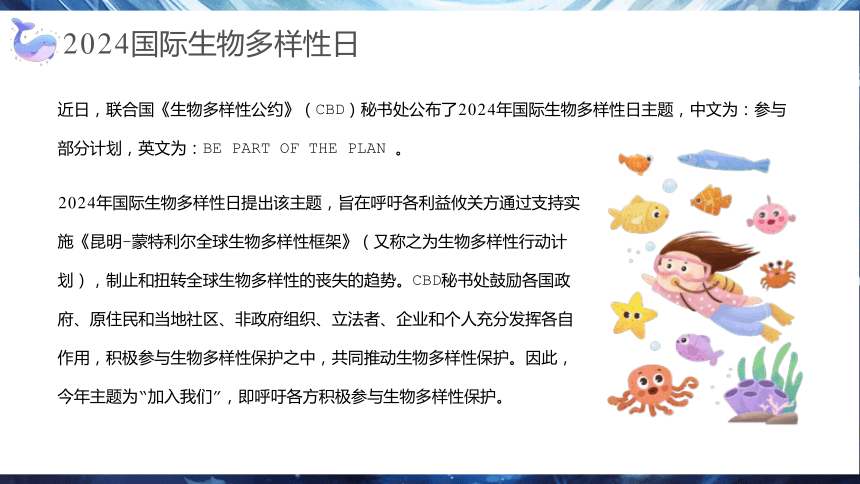 2024年生态环保主题班会---------第24个国际生物多样性日课件(共26张PPT)