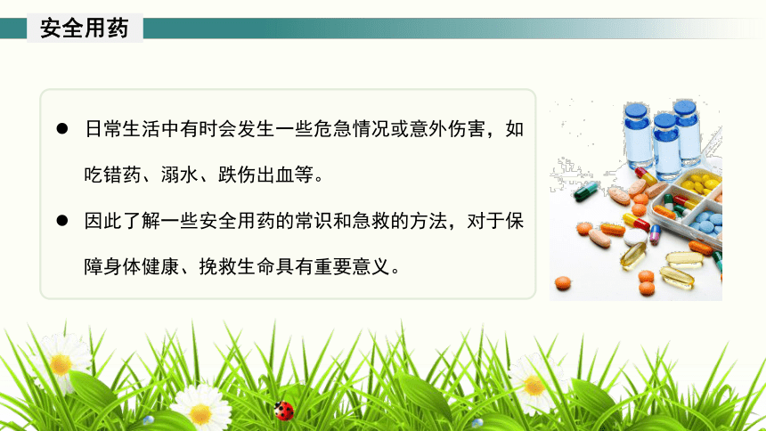 人教版生物学八下 8.2用药与急救 课件(共23张PPT)