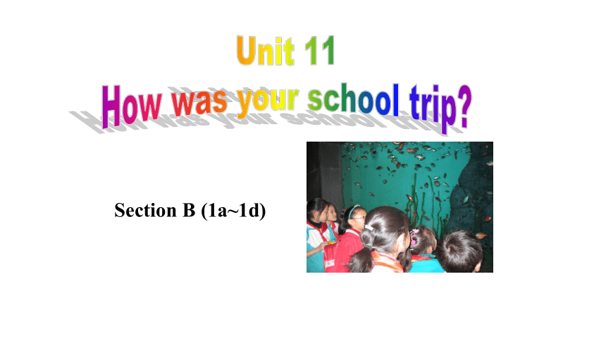 Unit 11 How was your school trip?  Section B (1a~1d) 课件(共30张PPT) 2023-2024学年人教版七年级英语下册