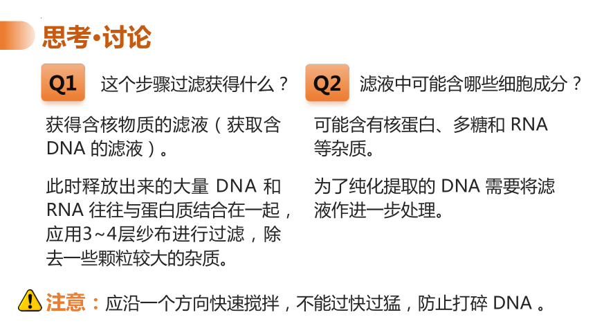 3.1.2 DNA的粗提取和鉴定 课件（22张PPT） 2023—2024学年高二下学期生物人教版选择性必修3