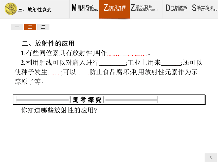 高中物理人教版选修1-2课件：3.3 放射性衰变(共22张PPT)