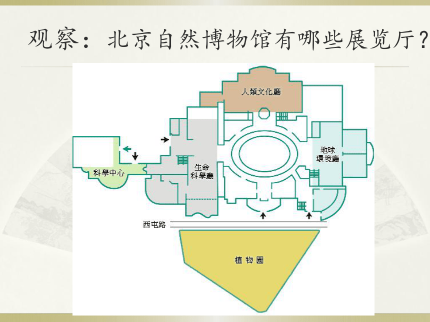 19.北京自然博物馆 课件（11张PPT）