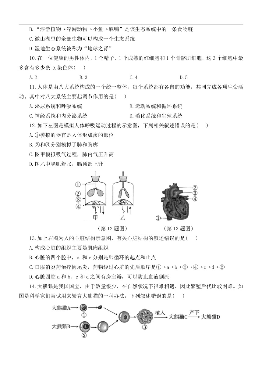 2024年山东省济宁市兖州区第二十中学学业水平模拟测试生物试题（含解析）