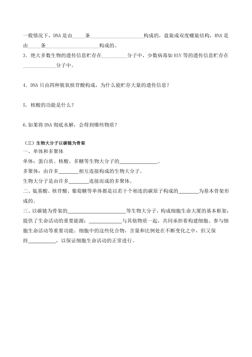 2.5 核酸是遗传信息的携带者学案（含答案）